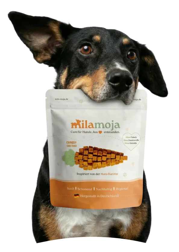 Sanfte Pflege für empfindliche Hunde