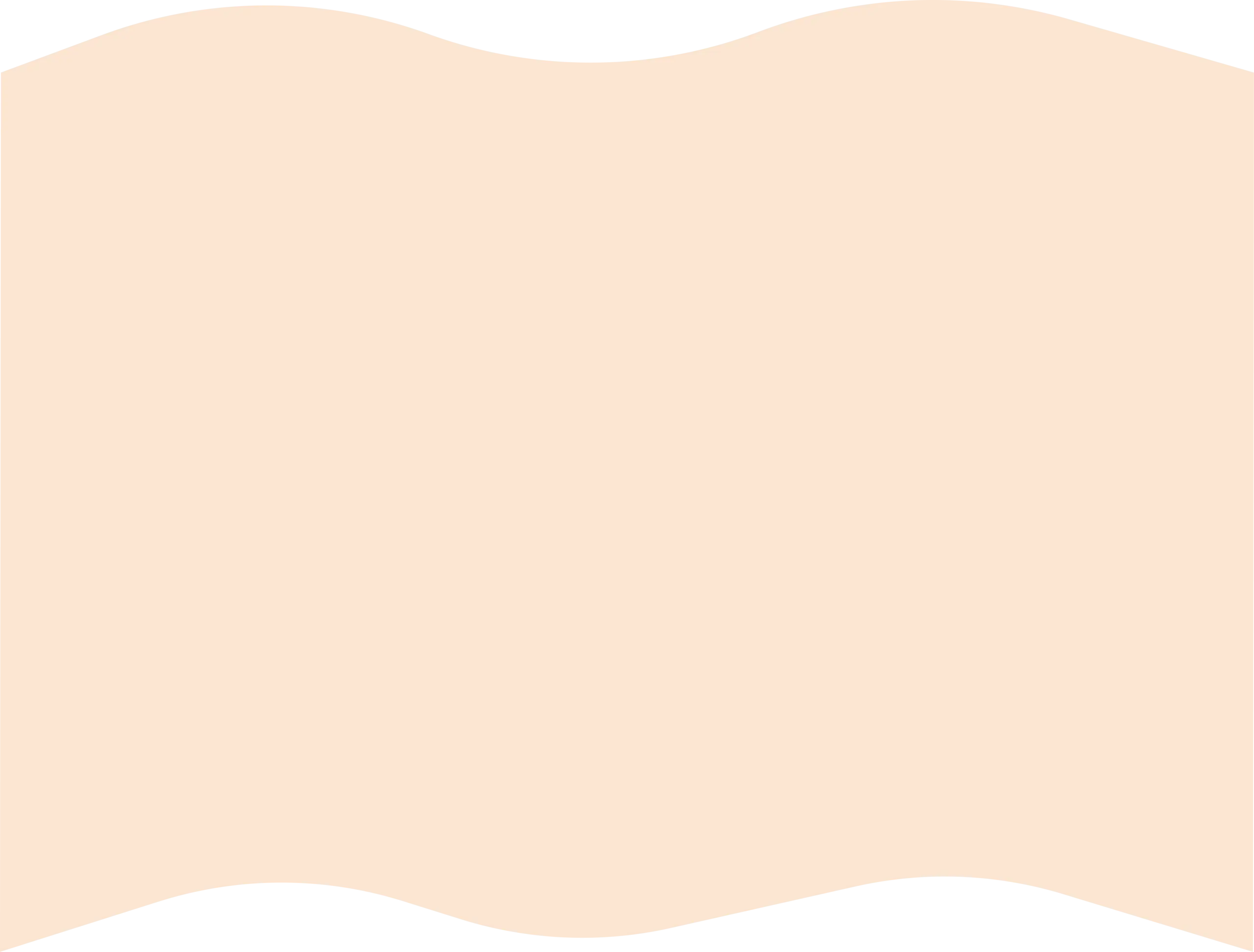 Vector shape background image